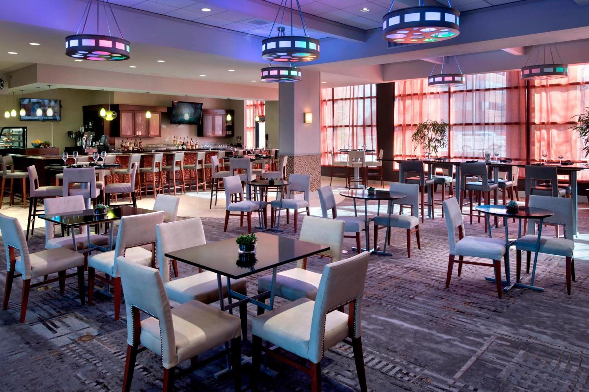 מלון Marriott אלבני מראה חיצוני תמונה